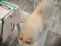 -肆兮眼镜·蔡司·徕卡战略合作店(大坪店)