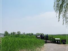 -西青郊野公园