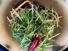 捞汁空心菜苗-凤凰湘语·海派湘菜(浦东旗舰店)