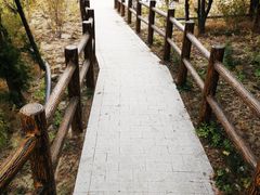 -白水寺森林公园