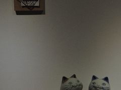 -猫里有甜