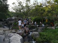 -清境桃源