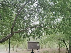 -廊坊市自然公园