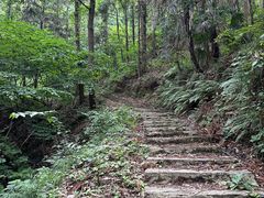 -素山寺森林公园