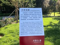 -大望京公园