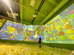 -宝燕乐园(闵行旗舰店)