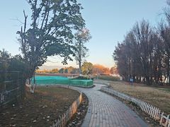 -洱海月湿地公园