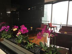 -广州富力君悦大酒店·关系酒廊