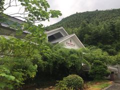 -蔡伦竹海