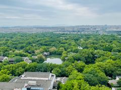 -西溪国家湿地公园