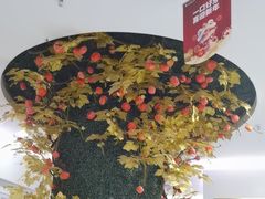 -美可普口腔医院(宝龙标杆店)