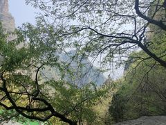 -狼牙山风景区