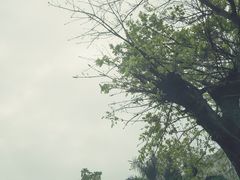 -F518时尚创意园
