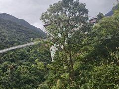 -三清山希尔顿度假酒店