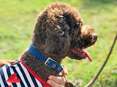 -飞来湖湿地公园