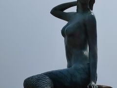 -金梦海湾浴场