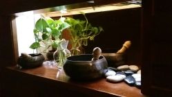 -艾维庭美学SPA