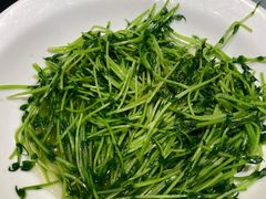 -宝燕壹号(长寿店)