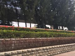 -宝安西湾红树林湿地公园