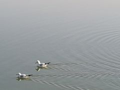 -迎宾楼(解放西街店)