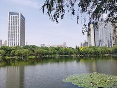 -后襄河公园