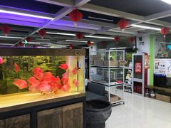 -米卢宠物公园(广华居店)