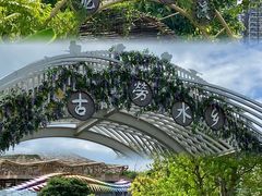 -江门古劳水乡旅游区