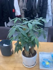-藤野造型烫染·漂发