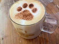 -猫小院猫主题餐厅(南锣旗舰店)
