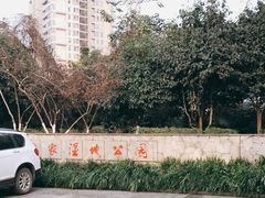 -重庆彩云湖湿地公园
