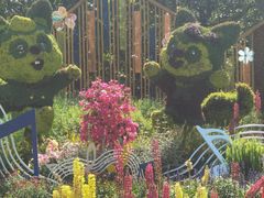 -上海共青森林公园