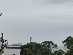 -上海滨江森林公园