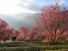-无量山自然风景保护区