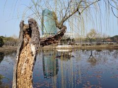 -无锡蠡湖国家湿地公园-蠡园