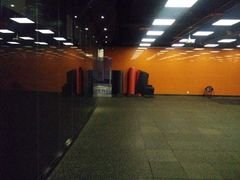 -威尔仕健身(金茂店)