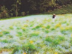 -保利石象湖景区