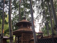 -尚庄度假村·庭台树下·户外烧烤·团建CS·轰趴营地(上庄水库店)