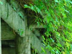 -成都杜甫草堂博物馆