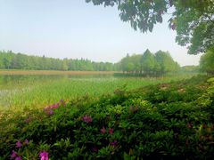 -苏州东太湖生态园