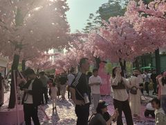 -东莞松山湖万象汇