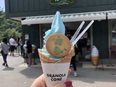 -青池