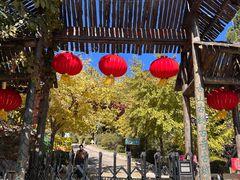 -遵化市禅林寺古银杏风景园