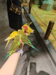 -酷嗒动物文化乐园(cutezoo西溪乐天城店)