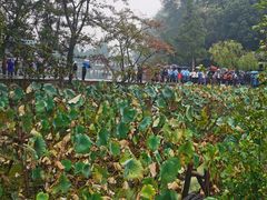 -韶山毛泽东同志故居