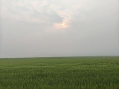 -呼伦贝尔大草原