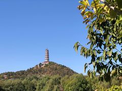 -北坞公园
