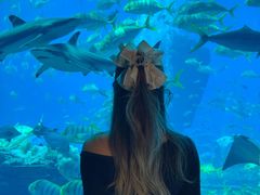 -亚特兰蒂斯•OSSIANO奥西亚诺海底餐厅