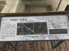 -圩墩遗址公园