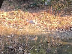 -艾溪湖湿地公园