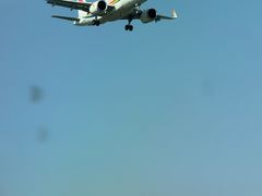 -空港花田景区